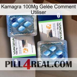 Kamagra 100Mg Gelée Comment Utiliser viagra5